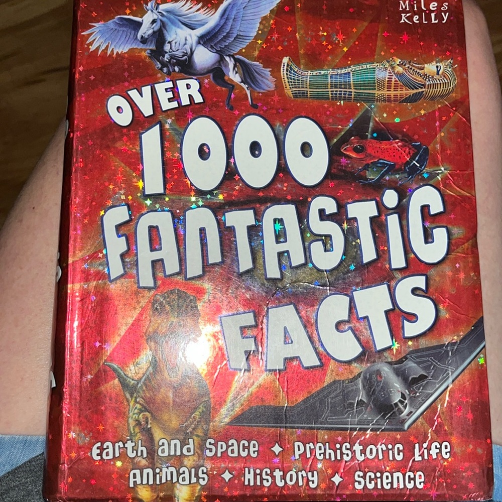 Fantastic Facts Over 1000 Fantastic Facts Soft Cover 500 pages gifted kids VGUC